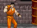 Final Fighter