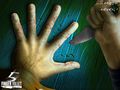 5 Finger Fillet